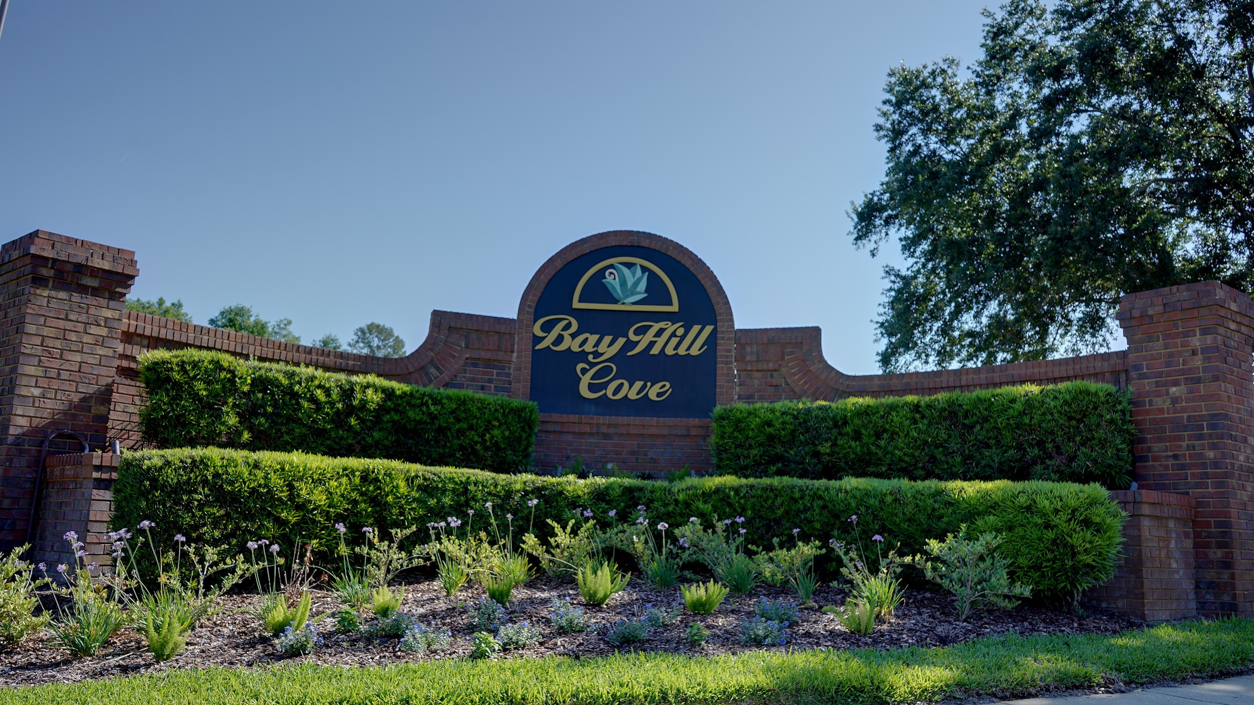 Bay Hill Cove entrance, Dr. Phillips